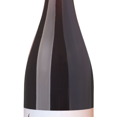 Domaine Terres de Sable Nuits Fauves